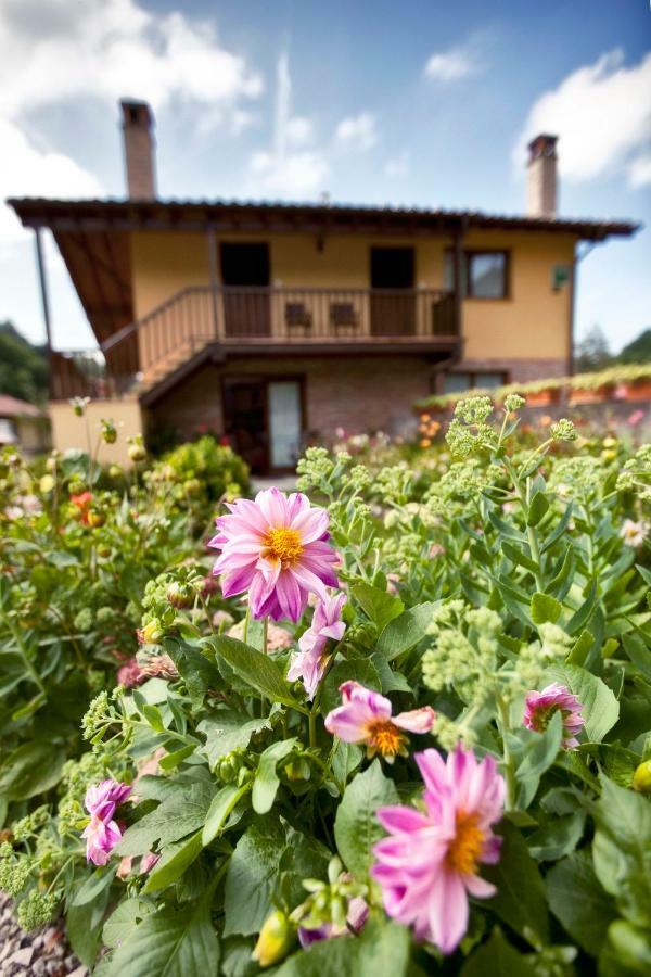 Apartamentos Rio Tabardin Llano-Con Luaran gambar